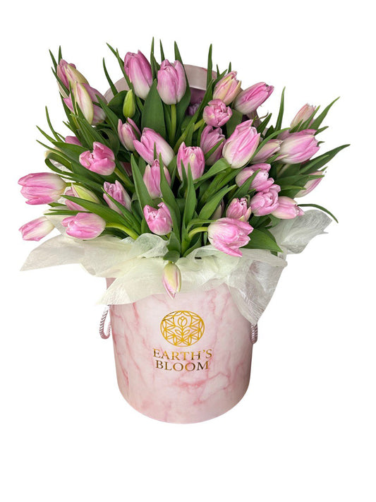Tulips